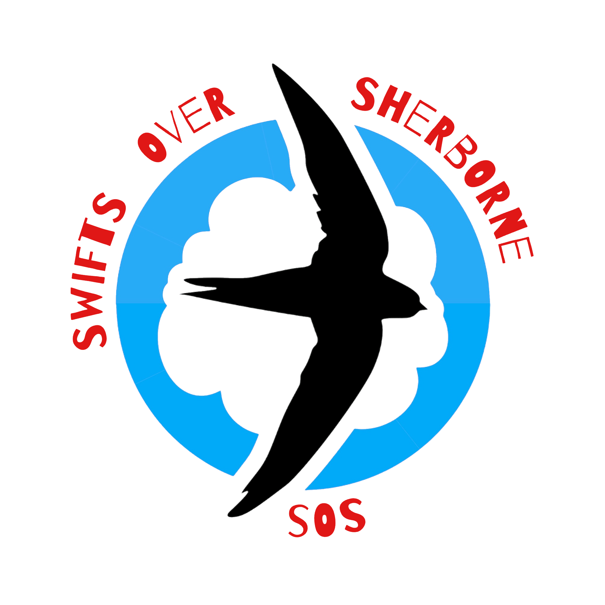 Swifts Over Sherborne